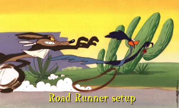 [Immagine: roadrunner-original.jpg]